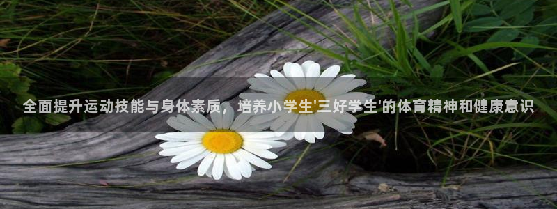 三亿体育登录：全面提升运动技能与身体素质，培养小学生\'三好学生\'的体育精神和健康意识