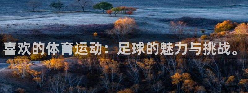 三亿体育网