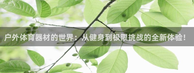 三亿体育网