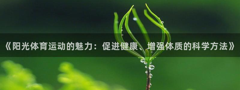 三亿体育网