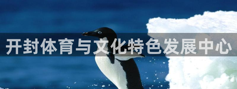 三亿体育网：开封体育与文化特色发展中心