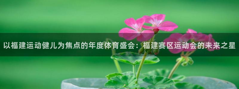 三亿体育：以福建运动健儿为焦点的年度体育盛会：福建赛区运动会的未来之星