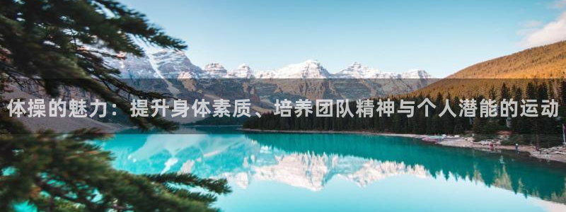 三亿体育网页版：体操的魅力：提升身体素质、培养团队精神与个人潜能的运动